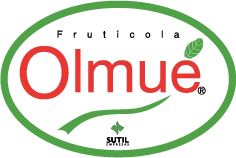 Frutícola Olmué